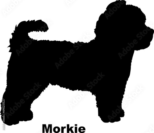 Morkie dog silhouette dog breeds Animals Pet breeds silhouette