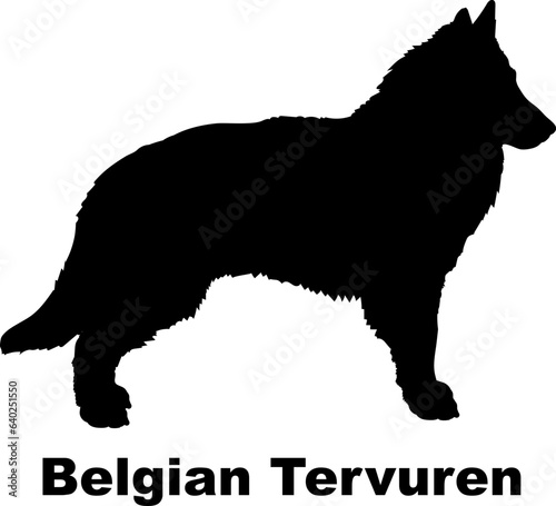 Belgian Tervuren dog silhouette dog breeds Animals Pet breeds silhouette