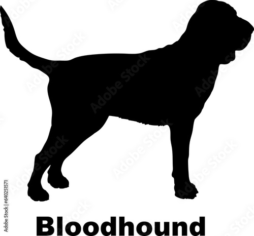Bloodhound dog silhouette dog breeds Animals Pet breeds silhouette
