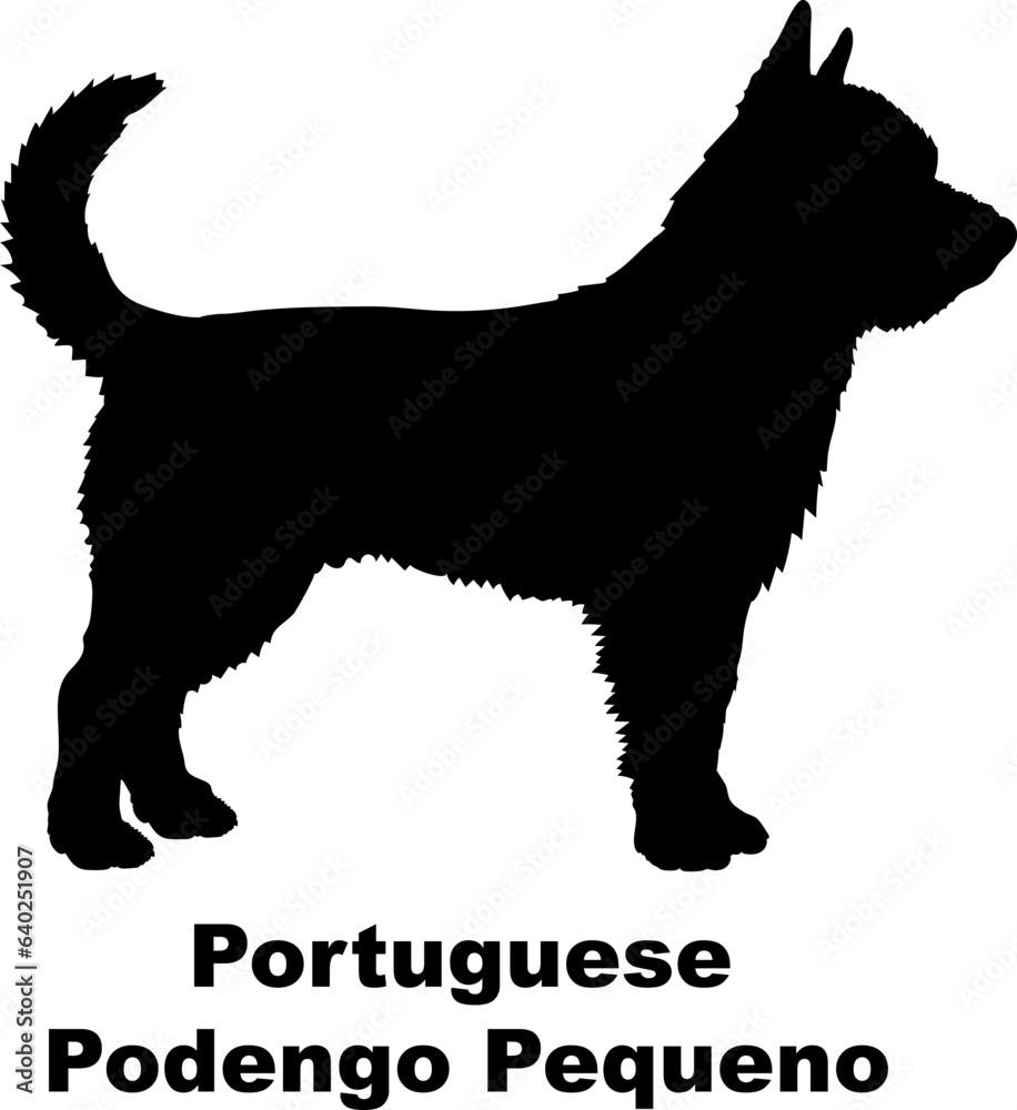 Portuguese Podengo Pequeno dog silhouette dog breeds Animals Pet breeds silhouette