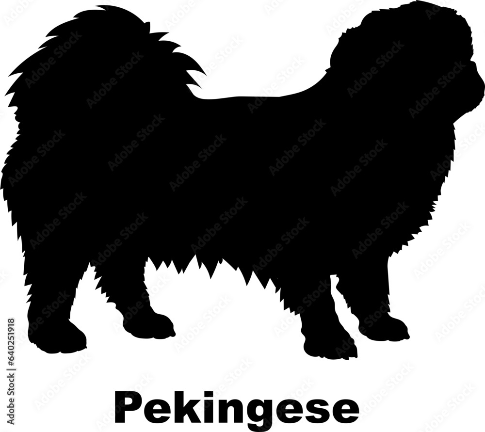 Pekingese dog silhouette dog breeds Animals Pet breeds silhouette Pekingese dog silhouette dog breeds Animals Pet breeds silhouette