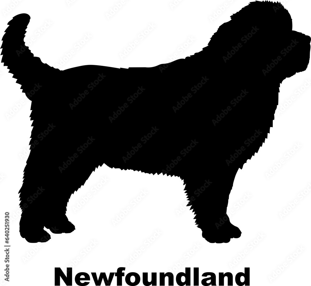 Newfoundland dog silhouette dog breeds Animals Pet breeds silhouette
