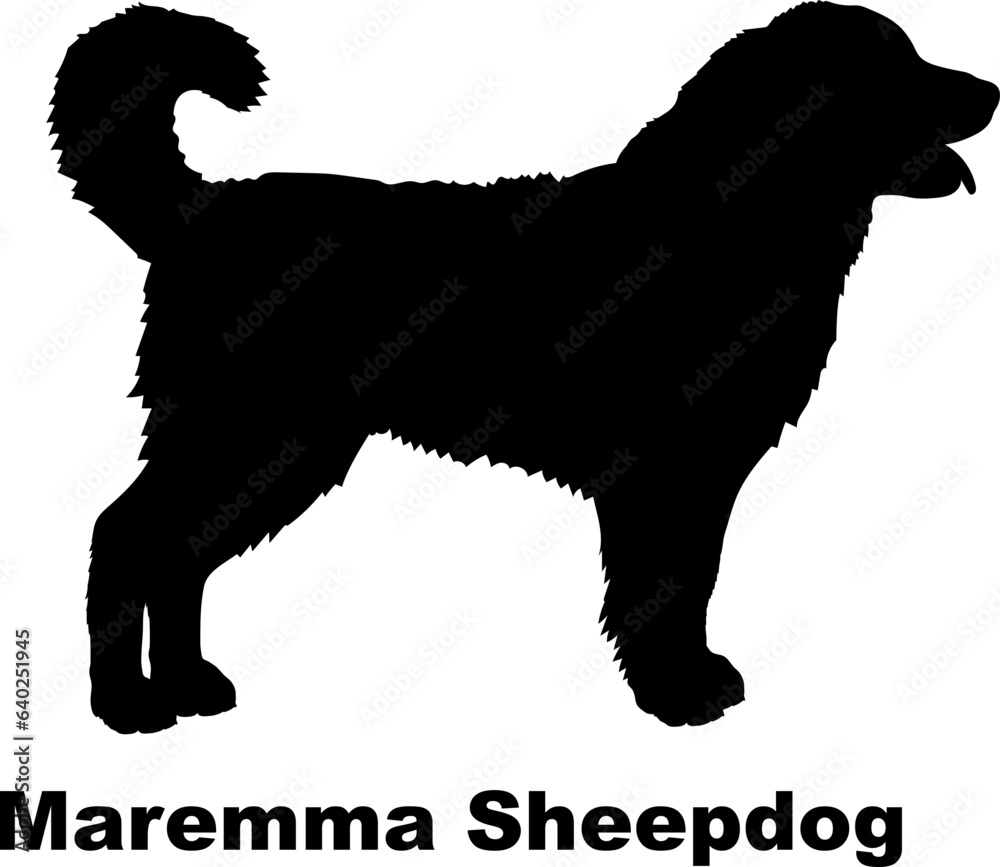 Maremma Sheepdog dog silhouette dog breeds Animals Pet breeds silhouette