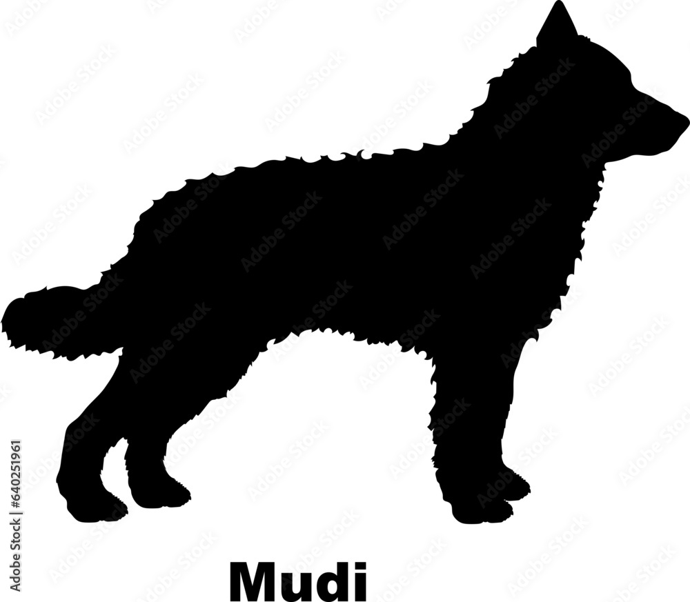 Mudi dog silhouette dog breeds Animals Pet breeds silhouette