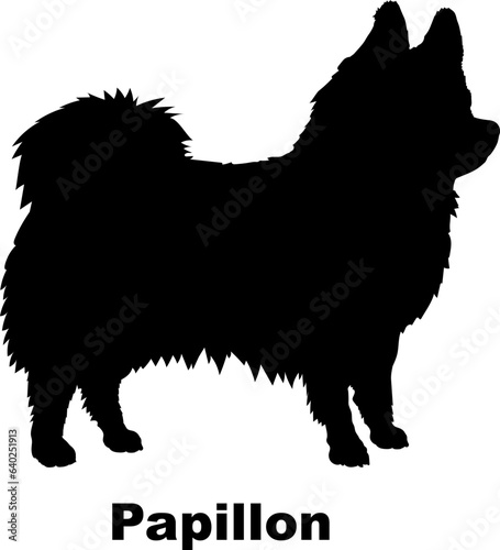 Papillon dog silhouette dog breeds Animals Pet breeds silhouette