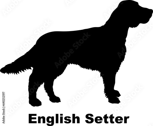 English Setter dog silhouette dog breeds Animals Pet breeds silhouette