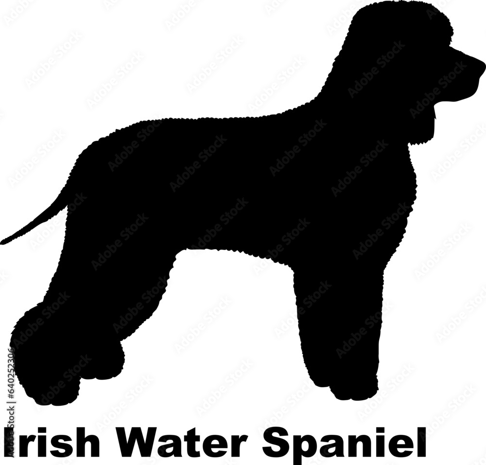  Irish Water Spaniel dog silhouette dog breeds Animals Pet breeds silhouette
