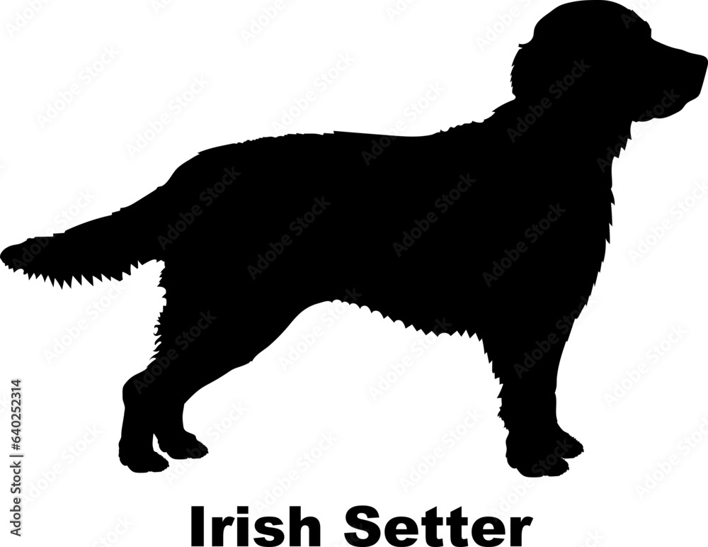 Irish Setter dog silhouette dog breeds Animals Pet breeds silhouette