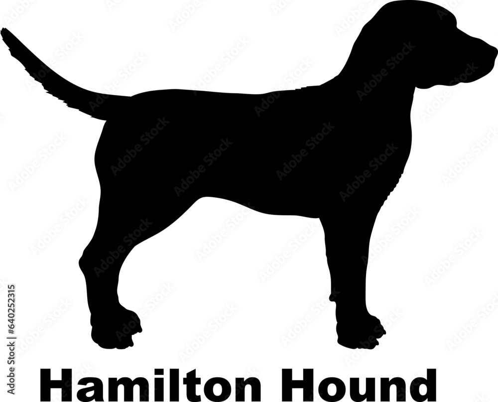 Hamilton Hound dog silhouette dog breeds Animals Pet breeds silhouette