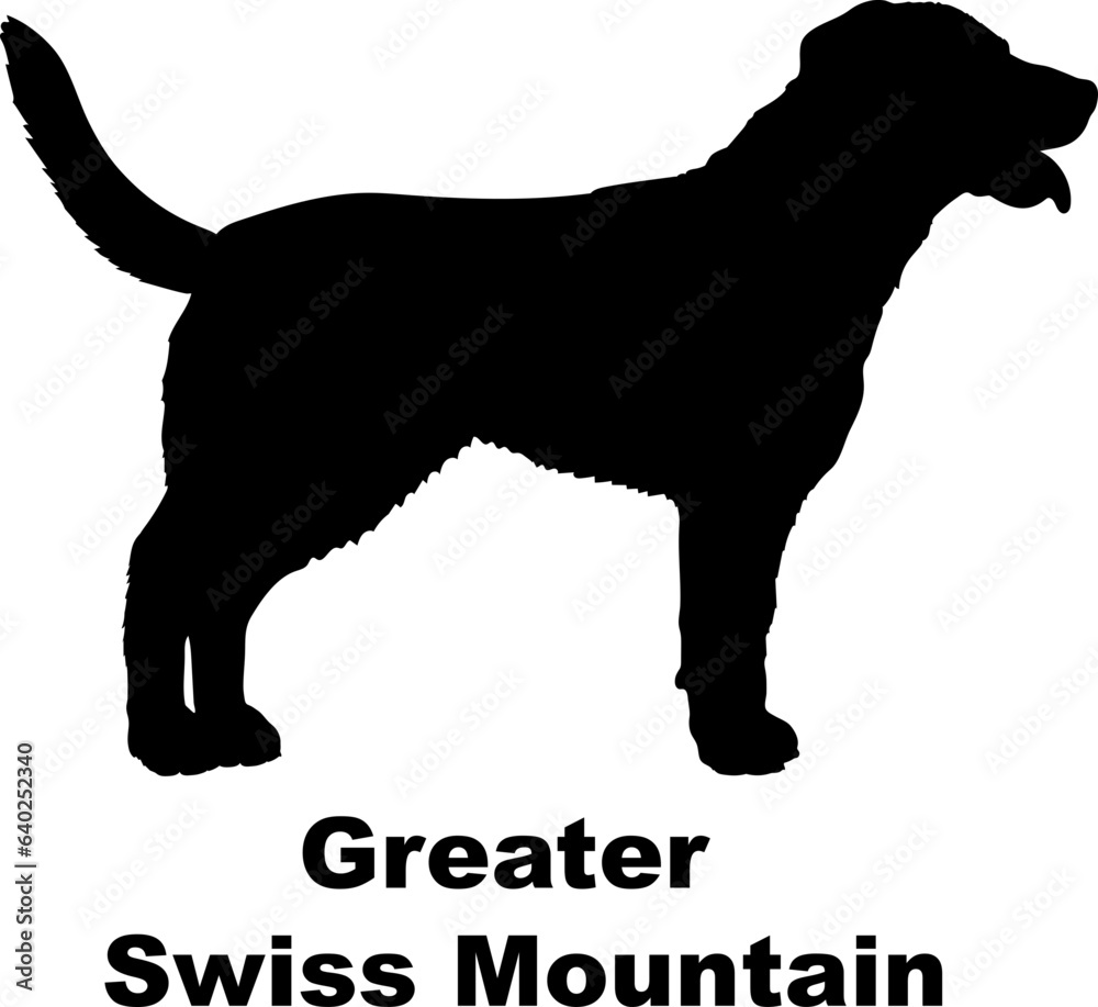 Greater Swiss Mountain dog silhouette dog breeds Animals Pet breeds silhouette Greater Swiss Mountain dog silhouette dog breeds Animals Pet breeds silhouette
