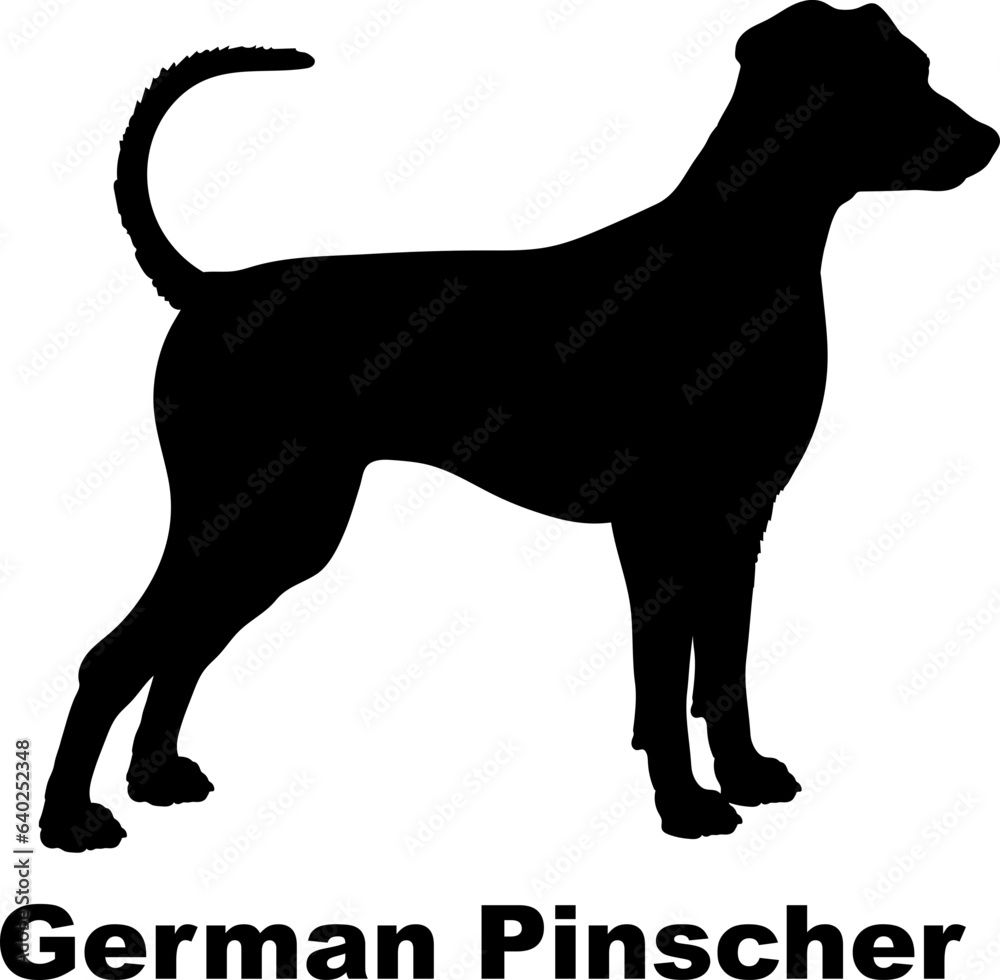 German Pinscher dog silhouette dog breeds Animals Pet breeds silhouette