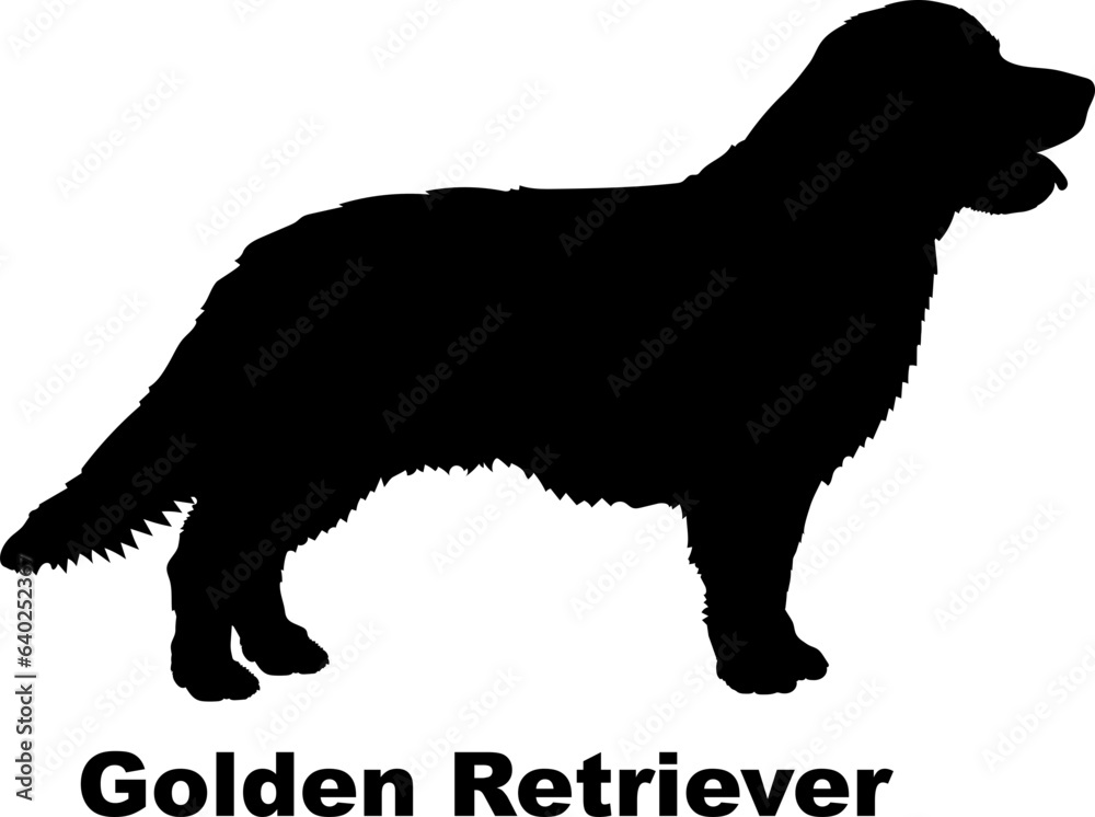 Golden Retriever dog silhouette dog breeds Animals Pet breeds silhouette