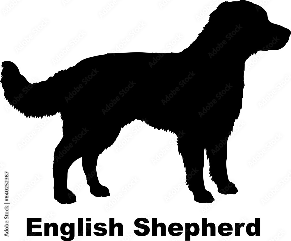 English Shepherd dog silhouette dog breeds Animals Pet breeds silhouette