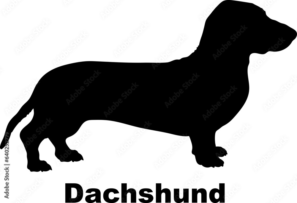 Dachshund dog silhouette dog breeds Animals Pet breeds silhouette