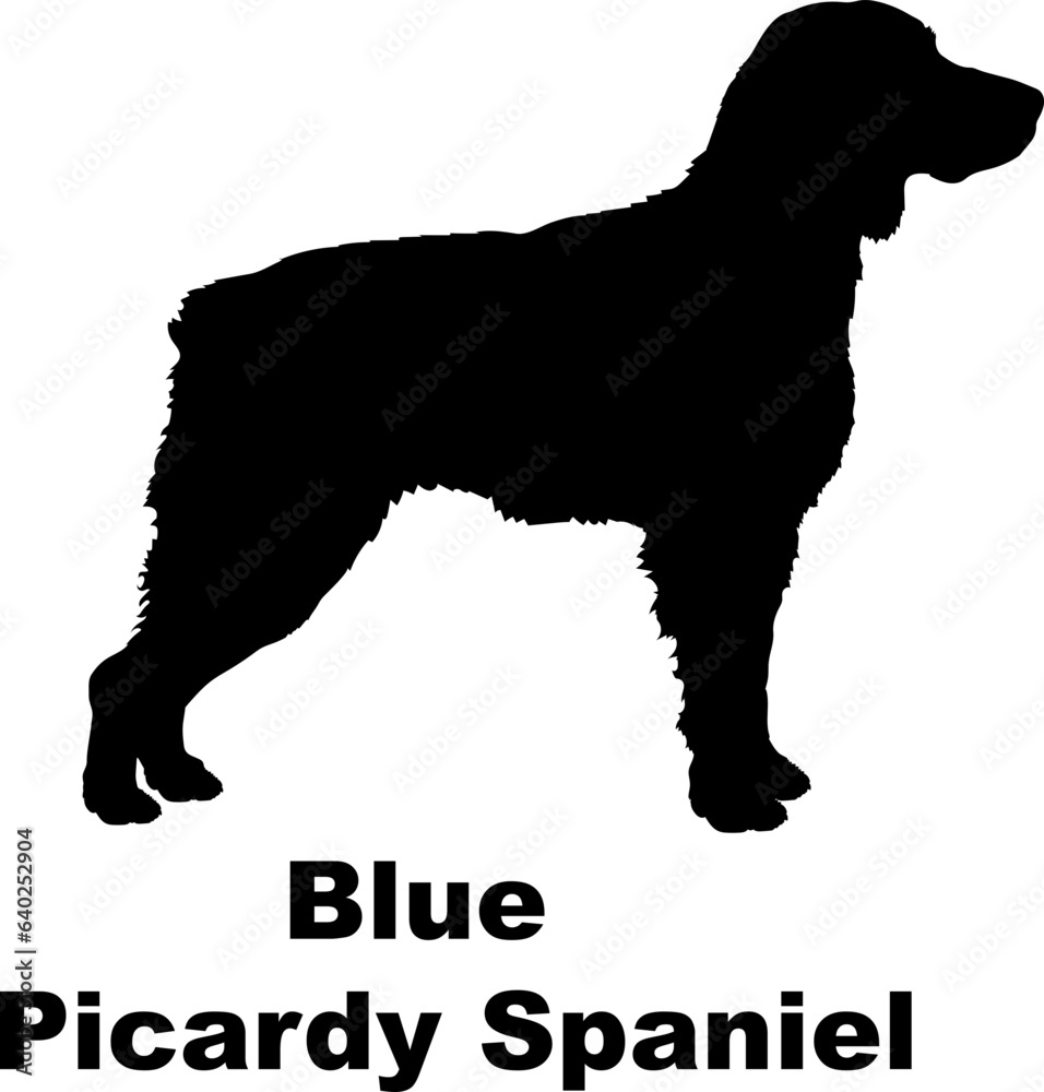 Blue Picardy Spaniel dog silhouette dog breeds Animals Pet breeds silhouette