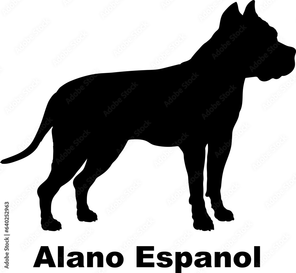 Alano Espanol dog silhouette dog breeds Animals Pet breeds silhouette Alano Espanol dog silhouette dog breeds Animals Pet breeds silhouette