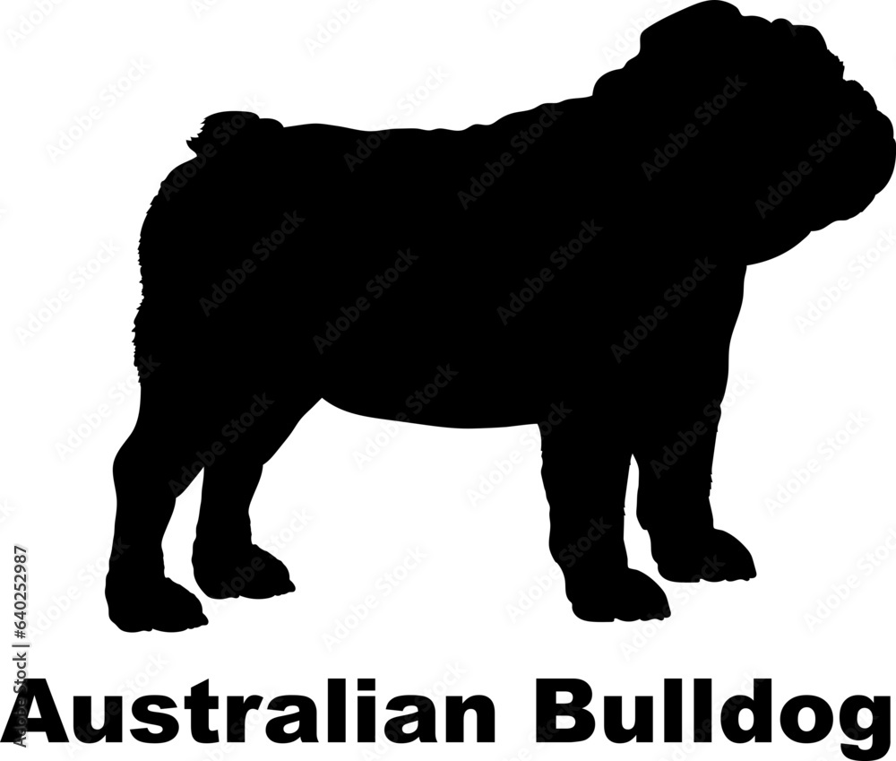 Australian Bulldog dog silhouette dog breeds Animals Pet breeds silhouette Australian Bulldog dog silhouette dog breeds Animals Pet breeds silhouette