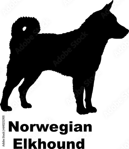 Norwegian Elkhound dog silhouette dog breeds Animals Pet breeds silhouette