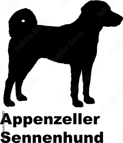 Appenzeller Sennenhund dog silhouette dog breeds Animals Pet breeds silhouette