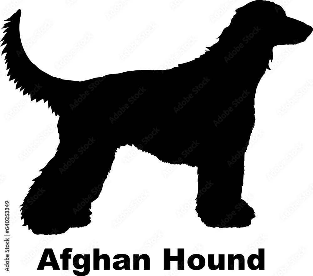 Afghan Hound dog silhouette dog breeds Animals Pet breeds silhouette
