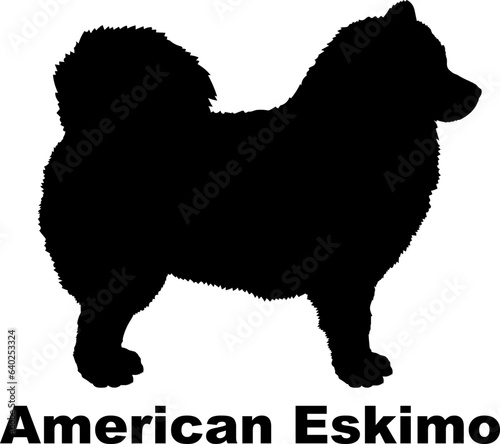 American Eskimo dog silhouette dog breeds Animals Pet breeds silhouette