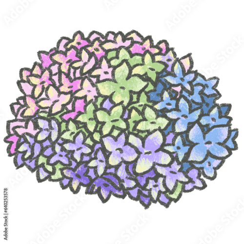 Hydrangea chalk paint