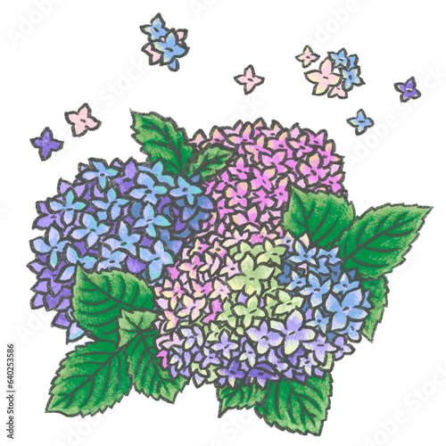 Hydrangea chalk paint