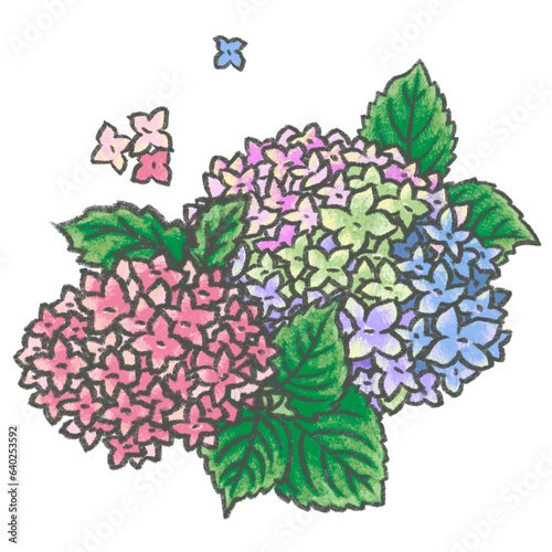 Hydrangea chalk paint