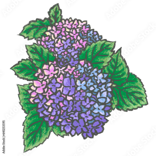 Hydrangea chalk paint