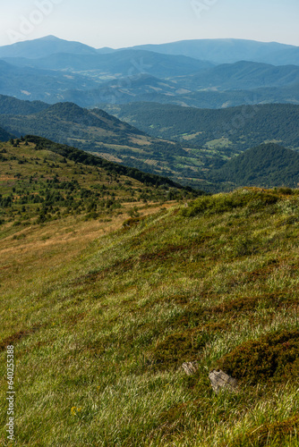 Fototapeta Naklejka Na Ścianę i Meble -  Wilderness and scenic nature and alpine landscape at summer in Bieszczady Mountains, Carpathians, Poland.