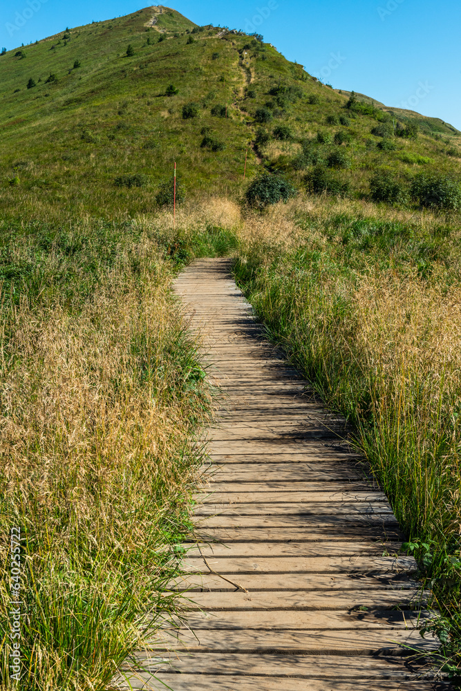 Trekking trial trough wilderness and scenic nature at summer in Bieszczady Mountains, Carpathians, Poland.