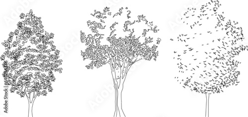 Vector sketch of tree and plant design illustration front view for plan design