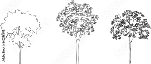 Vector sketch of tree and plant design illustration front view for plan design