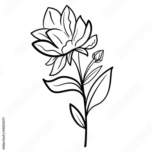 Outline hand drawn decorative floral branch and minimalist leaves for logo or tattoo. Hand drawn line wedding herb, elegant wildflowers. Minimal line art drawing for print, cover or wallpaper