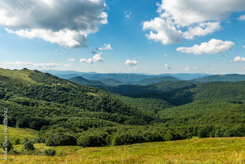 Wilderness and scenic nature and alpine landscape at summer in Bieszczady Mountains  Carpathians  Poland.