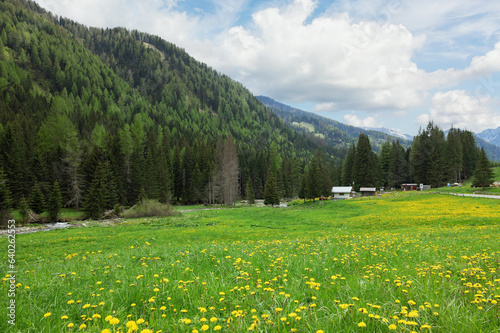 mountain scenery in the region of Trento