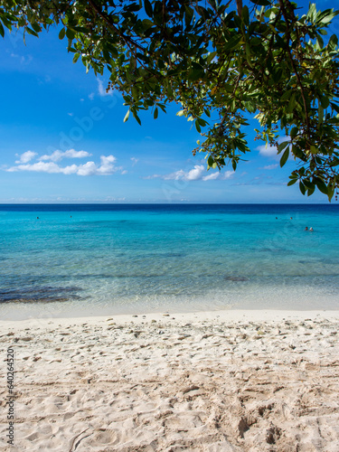 Fototapeta Naklejka Na Ścianę i Meble -  Beautiful turquoise, blue water and white beach at Curacao
