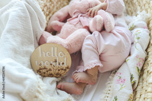 Newborn and plush toy, happy childhood