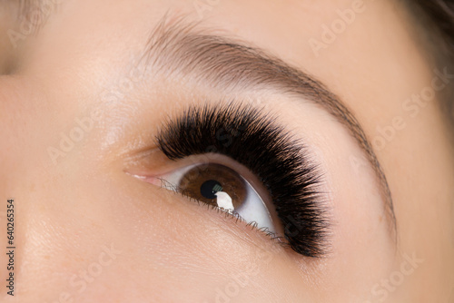 Macro shot of female dark brown eye with 2d 3d 4d mega volume long false lashes. Young woman with perfect eyes cat shape and beautiful black eyelash extensions. Closeup beauty photo of lash extension 