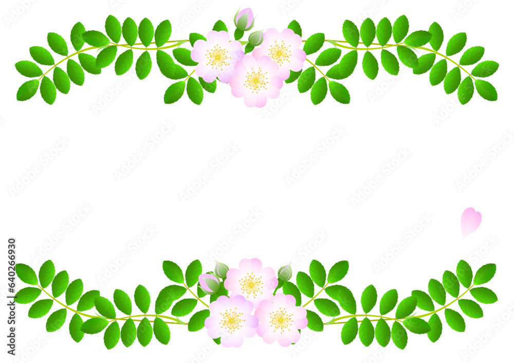 Fototapeta premium wild rose decorative border frame