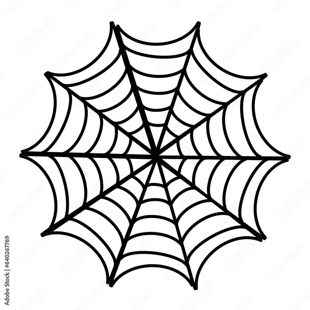 spider and web spider and web