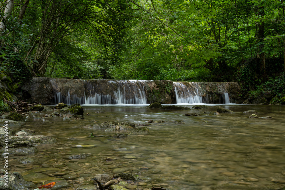 Obraz premium Waterfall in forest