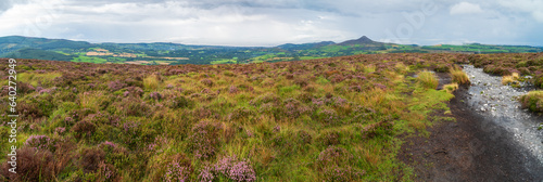Great Sugar Loaf - Wicklow Mountains - Ireland. Landscapes of green Ireland. © Marcin