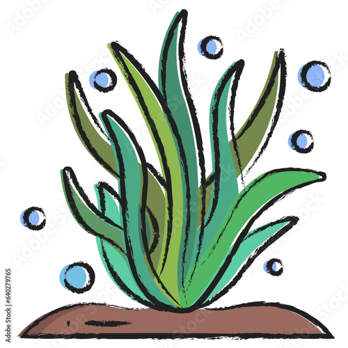 Hand drawn Seaweed icon