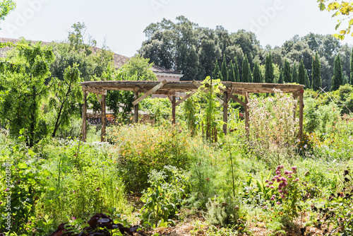 landscape of a vegetable garden