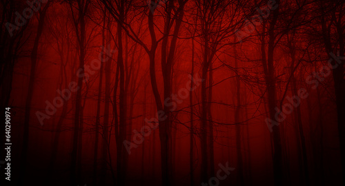 Silhouettes of trees on a red background. Horror or ecological concept. Red light and silhouette of trees.