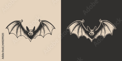 Vintage retro Halloween bat bird spooky scary horror element. Monochrome Graphic Art. Vector. Hand drawn element in engraving. style