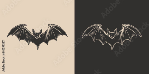 Vintage retro Halloween bat bird spooky scary horror element. Monochrome Graphic Art. Vector. Hand drawn element in engraving. style
