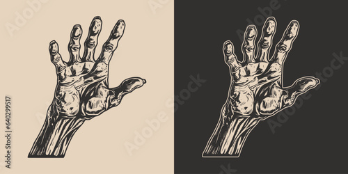 Vintage retro halloween zombie undead monster hand arm. Scary boo horror spooky illustration. Monochrome Graphic Art. Vector. Hand drawn element in engraving art