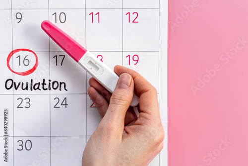 Female calendar with Ovulation day with pregnancy test